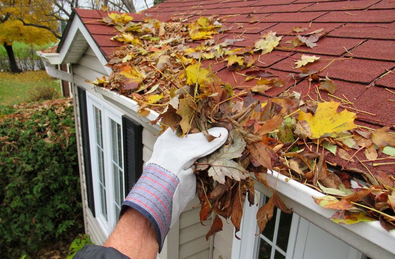 Sealing and Repairs in Fall